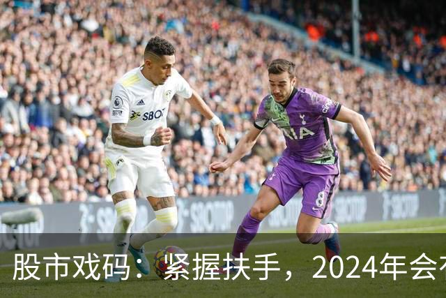 股市戏码：紧握扶手，2024年会有怎样的“惊险”之旅？